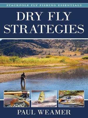 cover image of Dry Fly Strategies